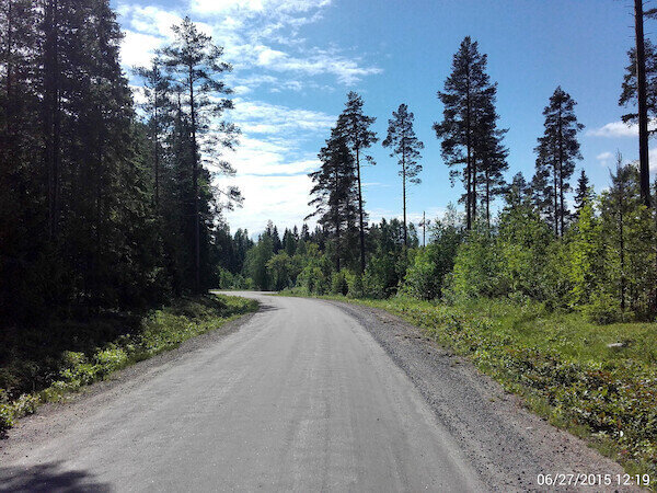 Einsame Straße im Wald
