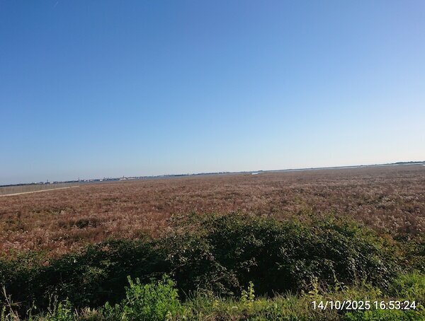 Blick über Grasslandschaft mit entfernter Stadt